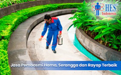 Jasa Pembasmi Hama, Serangga dan Rayap Terbaik!