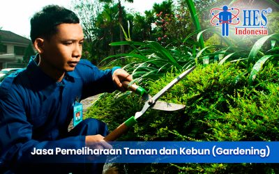 Jasa Pemeliharaan Taman dan Kebun (Gardening)