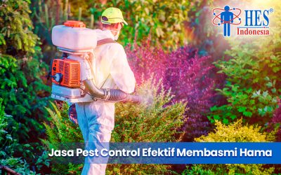 Jasa Pest Control Efektif Membasmi Hama