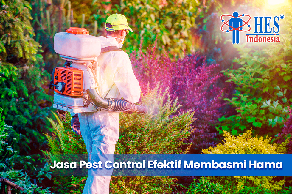 Jasa Pest Control Efektif Membasmi Hama