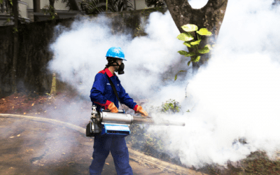 Jasa Pest Control Jakarta, Membasmi Hama dan Serangga