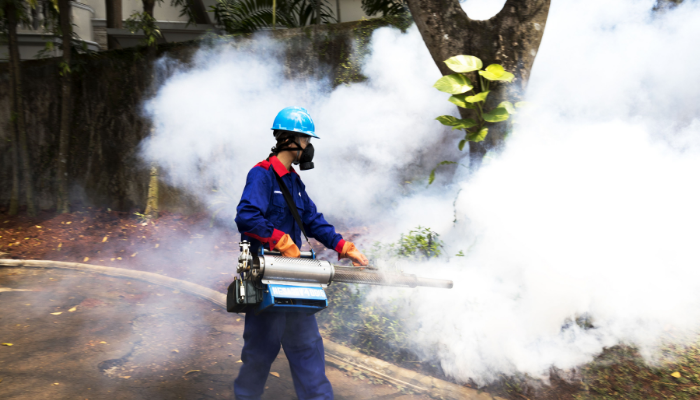 Pest Control Jakarta