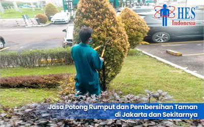 Jasa Potong Rumput dan Pembersihan Taman di Jakarta dan Sekitarnya