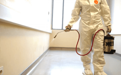 Jasa Fogging Disinfektan –  Penyemprotan Anti Virus Berbahaya