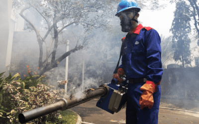 Jasa Fogging Nyamuk dan Pest Control Jakarta