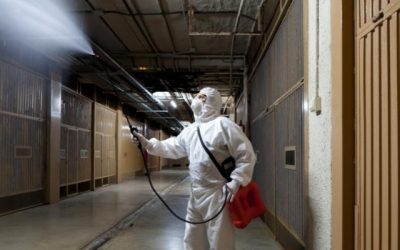 Jasa Disinfektan Ruangan Kantor dan Rumah agar Bebas Virus Penyakit