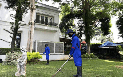 Jasa Kebersihan Kebun, Taman, Outdoor Area dan Landscape