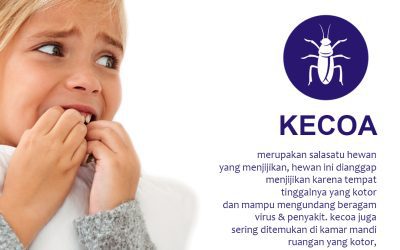 Cara Mengusir Kecoa dan Tipsnya
