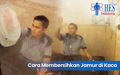 Cara Aman Membersihkan Jamur di Kaca Tanpa Merusak Permukaan