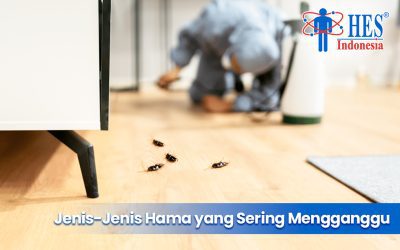 Jenis-Jenis Hama yang Sering Mengganggu