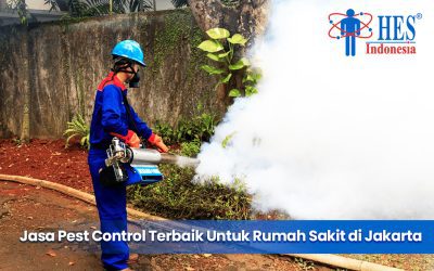 Jasa Pest Control Terbaik Untuk Rumah Sakit di Jakarta