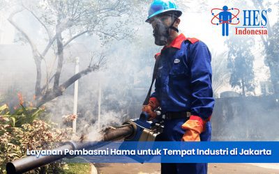 Layanan Pembasmi Hama untuk Tempat Industri di Jakarta