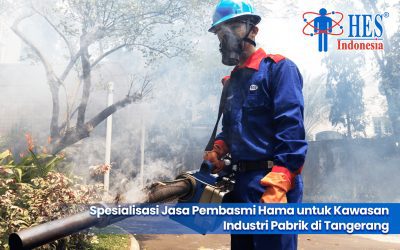 Spesialisasi Jasa Pembasmi Hama untuk Kawasan Industri Pabrik di Tangerang