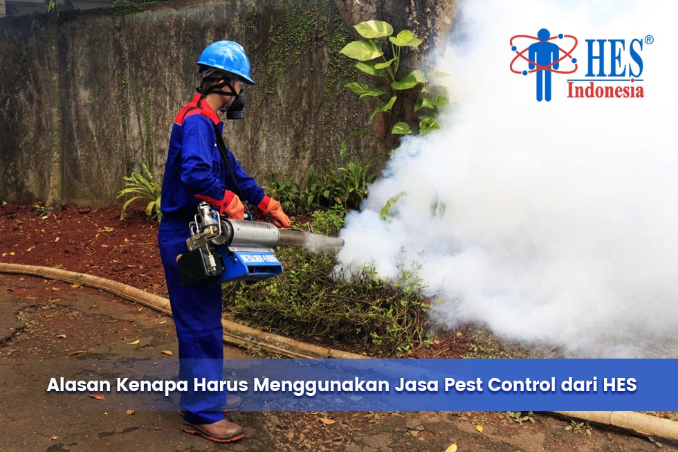 5 Alasan Kenapa Harus Menggunakan Jasa Pest Control dari HES