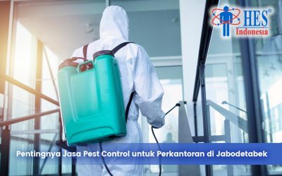 Pentingnya Jasa Pest Control untuk Perkantoran di Jabodetabek