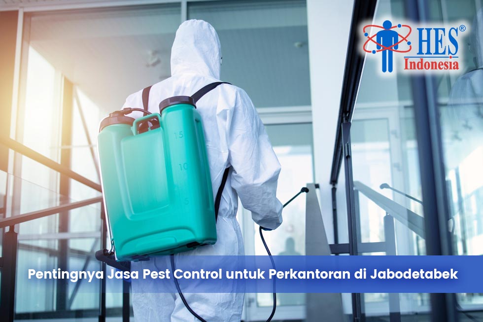 Pentingnya Jasa Pest Control untuk Perkantoran di Jabodetabek