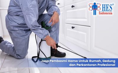 Jasa Pembasmi Hama untuk Rumah, Gedung, dan Perkantoran Profesional