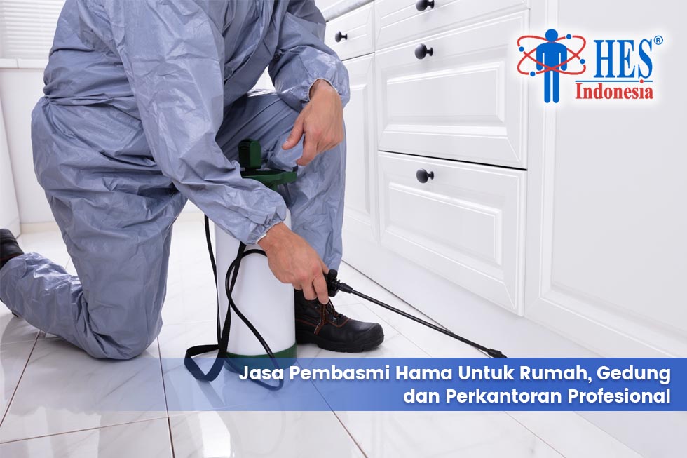 Jasa Pembasmi Hama untuk Rumah, Gedung, dan Perkantoran Profesional
