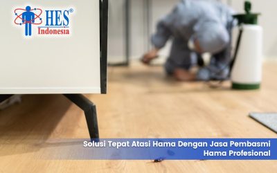 Solusi Tepat Atasi Hama dengan Jasa Pembasmi Hama Profesional