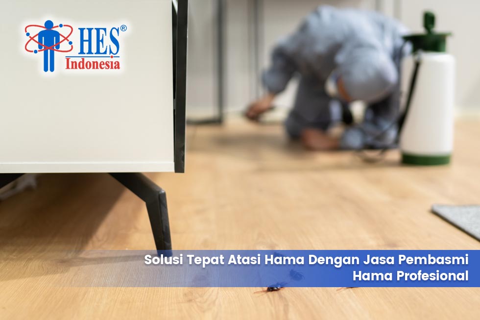 Solusi Tepat Atasi Hama dengan Jasa Pembasmi Hama Profesional