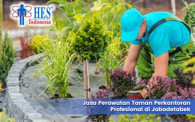 Jasa Perawatan Taman Perkantoran Profesional di Jabodetabek