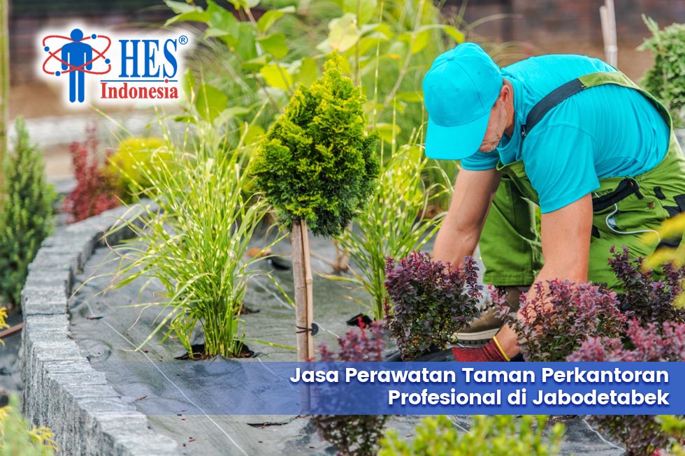Jasa Perawatan Taman Perkantoran Profesional di Jabodetabek