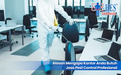 Mengapa Kantor Anda Butuh Jasa Pest Control Profesional? Ini Penjelasan Lengkapnya!