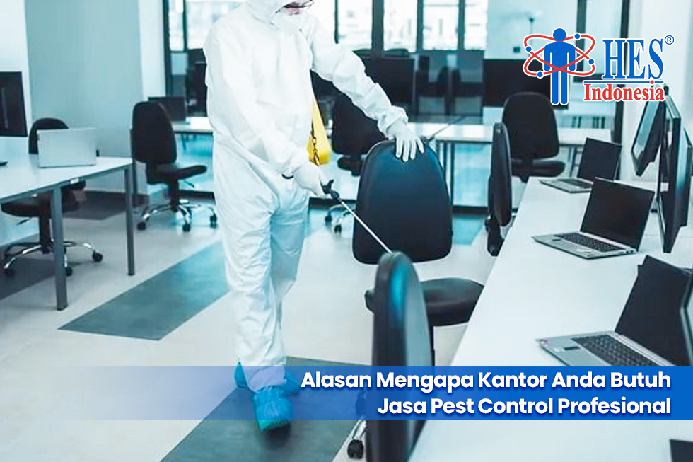 Alasan Mengapa Kantor Anda Butuh Jasa Pest Control Profesional