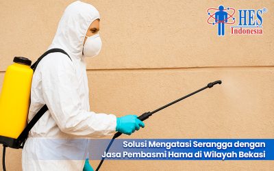 Solusi Mengatasi Serangga dengan Jasa Pembasmi Hama di Wilayah Bekasi