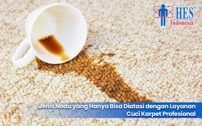 Jenis Noda yang Hanya Bisa Diatasi dengan Layanan Cuci Karpet Profesional