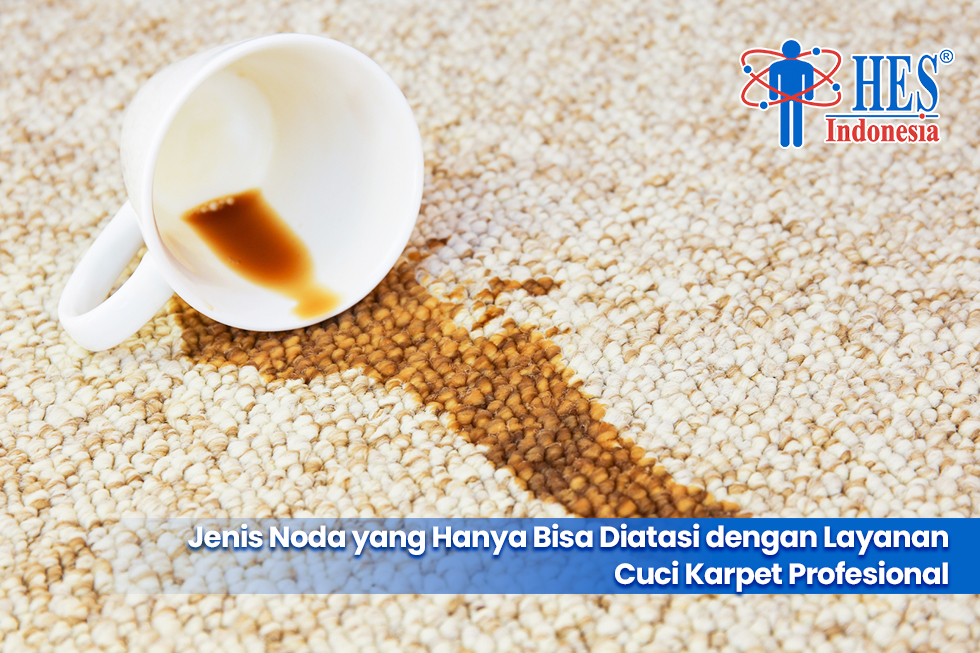 Jenis Noda yang Hanya Bisa Diatasi dengan Layanan Cuci Karpet Profesional