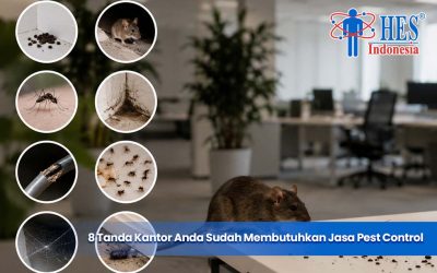 8 Tanda Kantor Anda Sudah Membutuhkan Jasa Pest Control