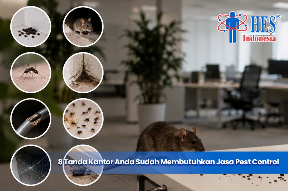8 Tanda Kantor Anda Sudah Membutuhkan Jasa Pest Control